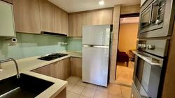 Palm Haven (D19), Condominium #558425201